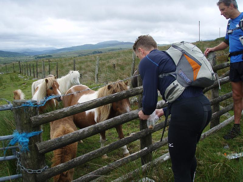 Day 2 - feeding horses.jpg